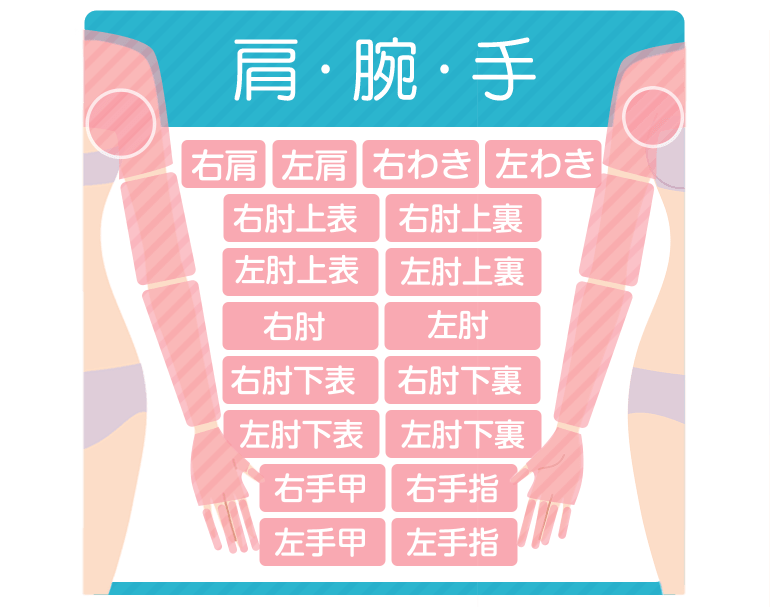 肩腕手