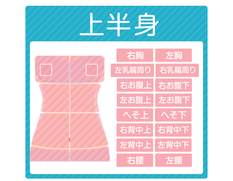 上半身