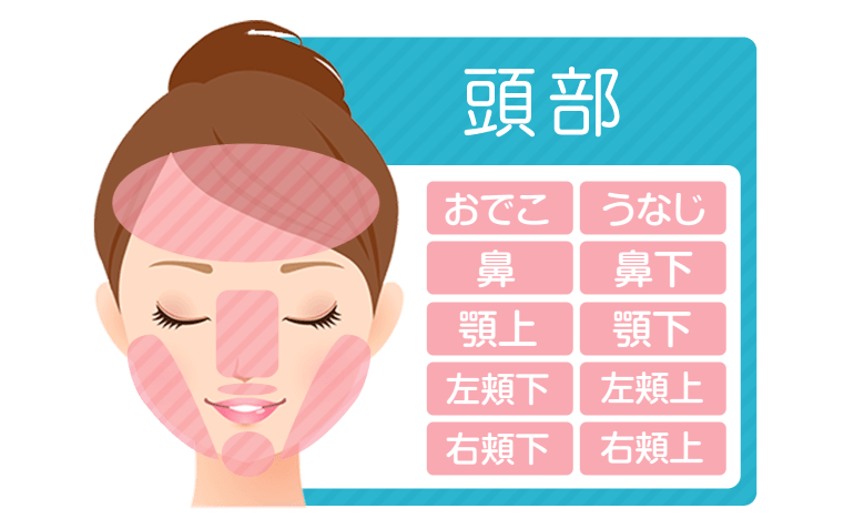 頭部