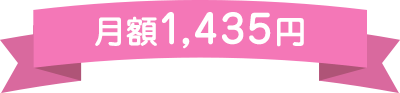 月額1,435円