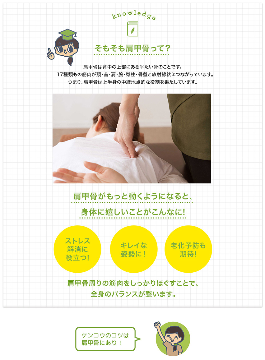 肩甲骨とは