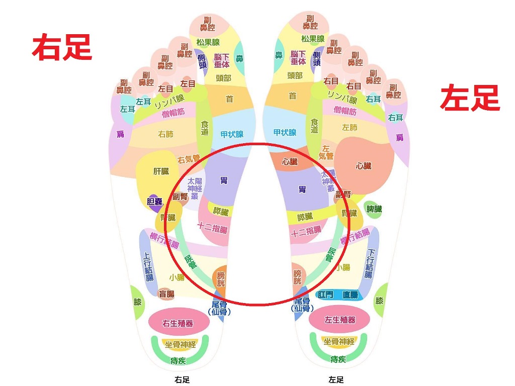 足つぼ土踏まず02