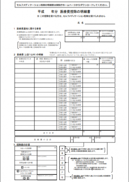 医療費控除明細書イメージ