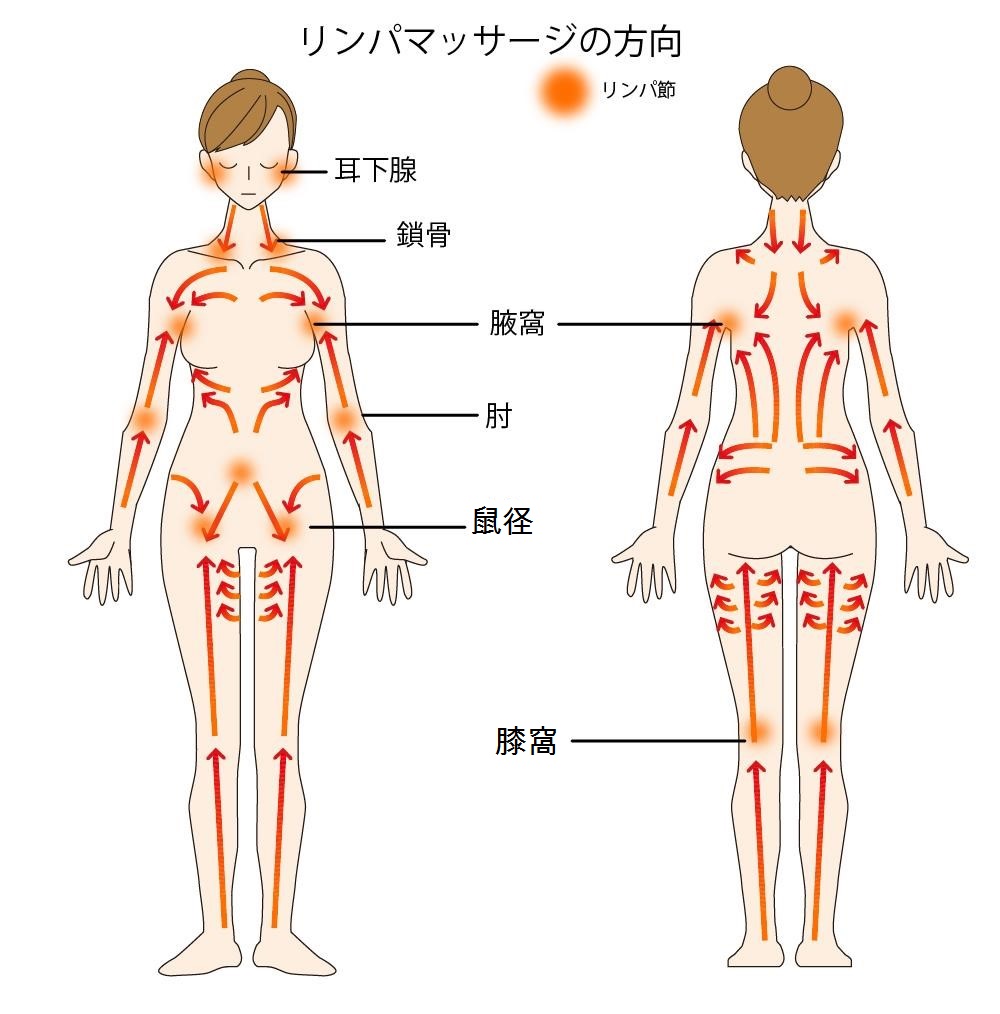 リンパマッサージオイルイラスト