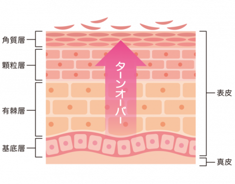 産後-肌荒れ_01
