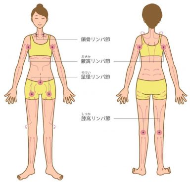 全身のリンパの流れとリンパ節