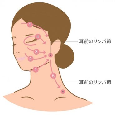 顔のリンパの流し方とリンパ節