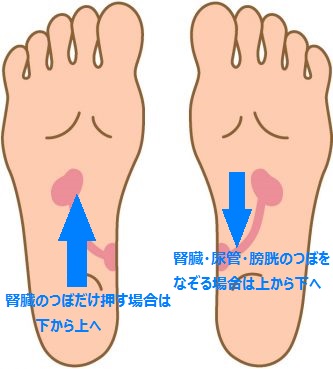 腎臓のつぼの押し方