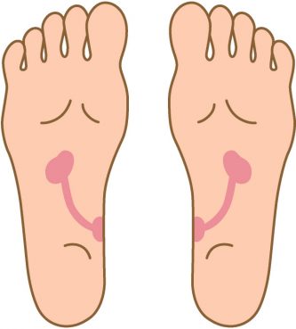 腎臓・尿管・膀胱のつぼ