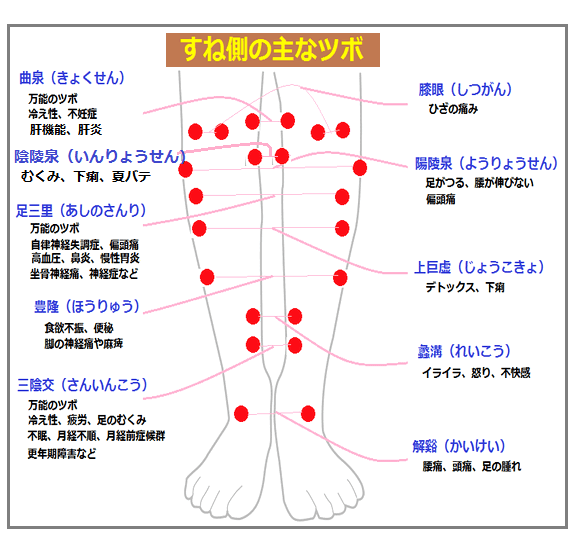 すねのツボ