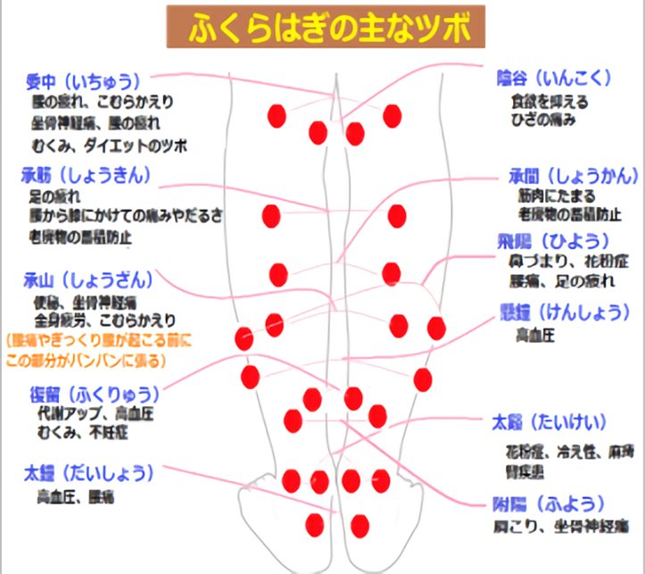 ふくらはぎのツボ