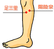 足三里・陽陵泉