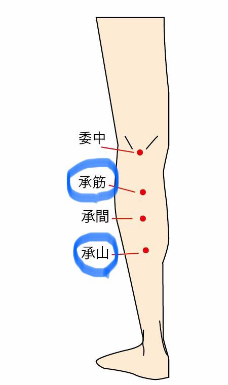 承筋・承山