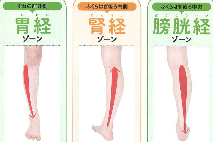 胃経・腎経・膀胱経