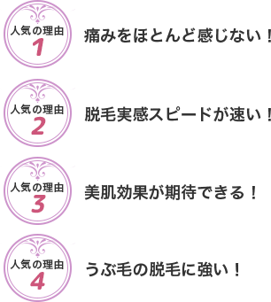 人気の理由